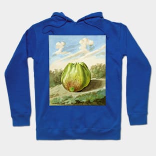 Apple in Landscape Hoodie